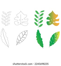 Different tropical leaves on white background.Green tropical leaves. Hand drawn vector illustration.Tropical different type exotic leaves set. Jungle plants. Calathea, Monstera and palm leaves.