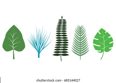 Different tropical leaves on white background