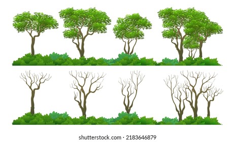 Diferente colección de árboles tropicales con diseño de elementos de hierba y flor individual