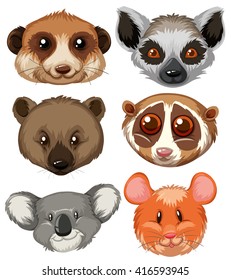 Different type of animal heads illustration