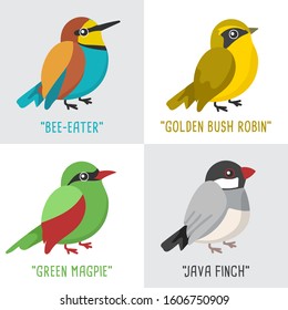 Different type of birds collection : Bee-eater, Golden Bush Robin, Green Magpie and Java Finch : Vector Illustration