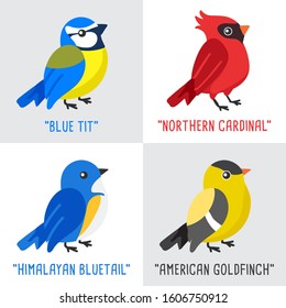 Different type of birds collection : Blue Tit, Northern Cardinal, Himalayan Bluetail and American Goldfinch : Vector Illustration