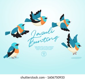 Different type of birds collection : Flying Lazuli Bunting : Vector Illustration