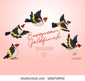 Different type of birds collection : Flying European Goldfinch : Vector Illustration