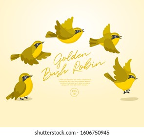 Different type of birds collection : Flying Golden Bush Robin : Vector Illustration