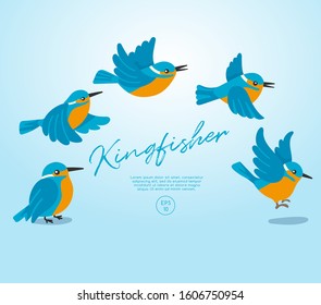 Different type of birds collection : Flying Kingfisher : Vector Illustration