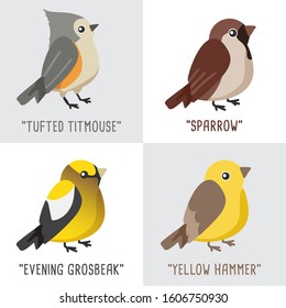 Different type of birds collection : Tufted Titmouse, Sparrow, Evening Grosbeak and Yellow Hammer : Vector Illustration