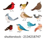 different type of birds, icon set