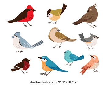 different type of birds, icon set