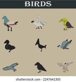 Different type of birds vector file