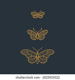 Different type of butterfly. Contour vector illustration for prints, clothing, packaging, stickers, logo, emblem.