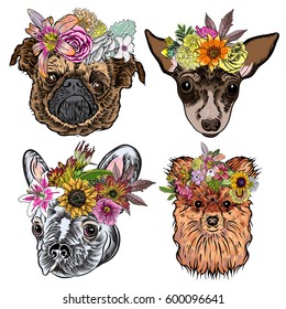 Different type of cartoon dogs with exotic floral wreath. Hand drawn cute puppy girls with flowers. Illustration set with smiling doggy. Artistic canine vector characters.