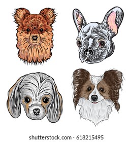 Different type of cartoon dogs. Hand drawn cute puppy. Illustration set with smiling doggy pets. Artistic canine vector characters. Pomeranian, Papillon, Cocker Spaniel, French Bulldog.