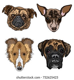 Different type of cartoon dogs. Hand drawn cute puppy. Illustration set with smiling doggy pets. Artistic canine vector characters. Pug, Toy Terrier, Collie, Boxer.