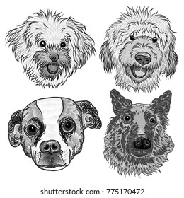 Different type of cartoon dogs with Hand drawn cute puppy. Illustration set with doggy. Artistic canine vector characters.