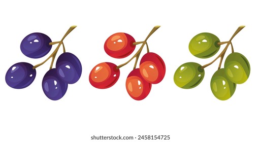 Different type color of grape isolated set. Vector graphic design illustration
