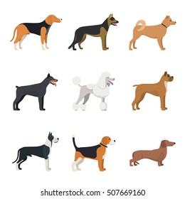 Different Type Dogs Breed Set Beagle Stock Vector (Royalty Free ...