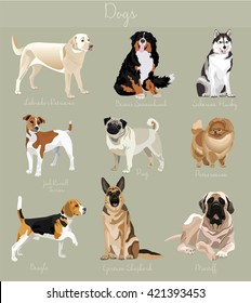 Different type of dogs set. Big and small dog animals. 