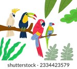 Different type of exotic birds. Vector flat cartoon graphic design illustration