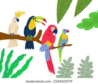 Different type of exotic birds. Vector flat cartoon graphic design illustration