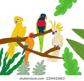 Different type of exotic birds. Vector flat cartoon graphic design illustration