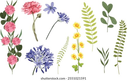 Diferentes tipos de flores e plantas coloridas