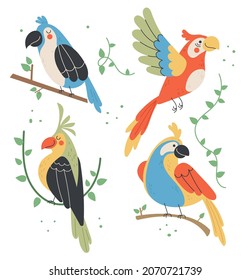 Different type of jungle tropic birds isolated flat graphic design cartoon set collection