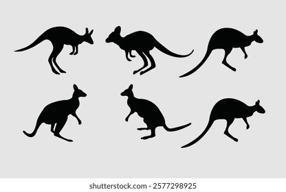 Different type of kangaroos silhouette 