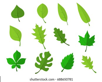 232,979 Type of leaves Images, Stock Photos & Vectors | Shutterstock