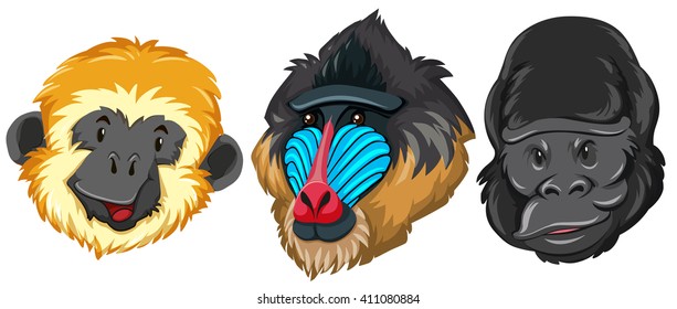 Different type of monkey illustration