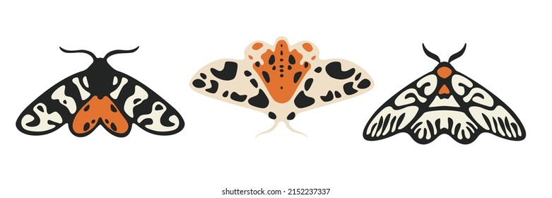 Different type of moth. Contour vector illustration for prints, clothing, packaging, stickers, logo, emblem.