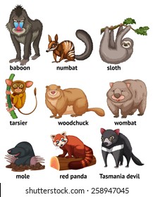 Different type of rare animals