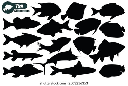Diferentes tipos de siluetas de peces de mar Arte vectorial