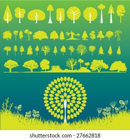 Different type of trees