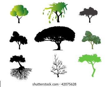 different type of trees