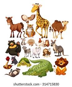 Different type of wild animals illustration