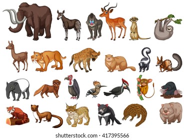 Different type of wild animals on white illustration