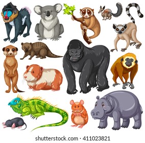 Different type of wildlife animals on white background illustration