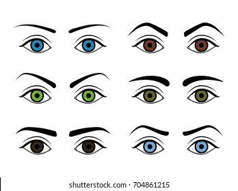 Different Type Woman Eyebrows Set. Make Up Design Element Green, Brown and Blue Eyes. Vector illustration