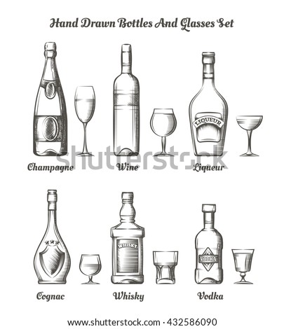 Different types of alcohol hand drawn bottles and glasses vector illustration