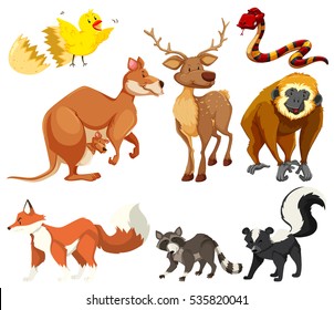 Different types of animals illustration