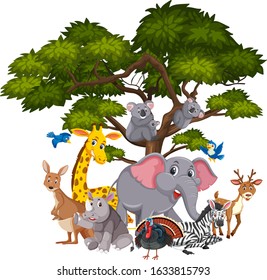 Different types of animals on the tree illustration