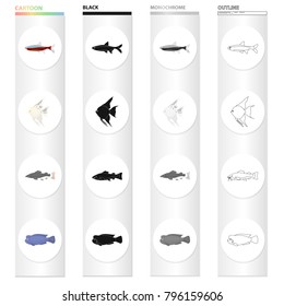 Different types of aquarium and marine fish, scaly, neon. A fish set collection icons in cartoon black monochrome outline style vector symbol stock illustration web.