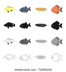 Different types of aquarium and sea fish, the moon. A fish set collection icons in cartoon black monochrome outline style vector symbol stock illustration web.