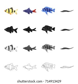 Different types of aquarium and sea fish, barbeque, stingray. A fish set collection icons in cartoon black monochrome outline style vector symbol stock illustration web.