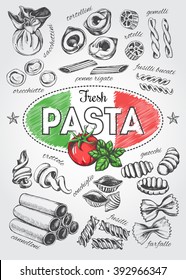 Different types of authentic Italian pasta. Hand drawn set. Vector illustration in vintage style. Menu or signboard template for restaurant.