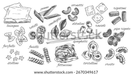 Different types of authentic Italian pasta. Hand drawn set. Vector illustration in vintage style. Menu or signboard template for restaurant.