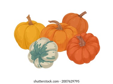 Different types of autumn whole pumpkins. Composition of fall harvest. Vintage drawing of fresh ripe round-shaped vegetables. Realistic hand-drawn vector illustration isolated on white background