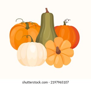 Different types of autumn whole pumpkins. Composition for fall holiday Harvest Festival or Thanksgiving. Fresh ripe variuty shaped vegetables. Vector illustration in flat style