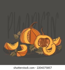 Different types of autumn whole pumpkins. Autumn vegetable composition with pumpkin, squash, leaves. Autumnal still life of fall season harvest. Realistic hand-drawn vector illustration set isolated.